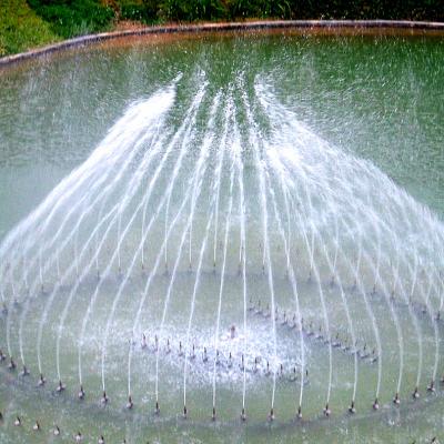 China China Manufacturer Large Modern Outdoor Modern Garden Color Changing Music Water Fountains for sale