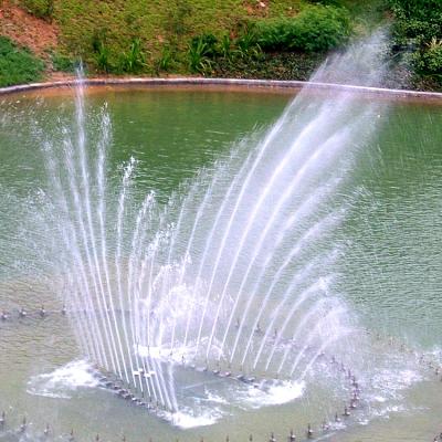 China Durable Free Design Decoration Music Outdoor Water Fountain Show for sale