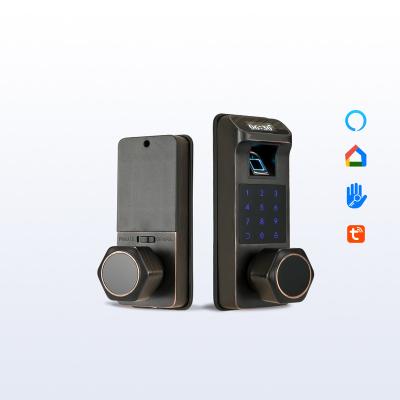 China Modern Electronic Fingerprint WIFI Door Button Smart Keyless Remote Smart Hotel Lock System Handles Guangdong Hardware for sale