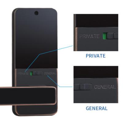 China High Quality Various Door Biometric Keyless Fingerprint Lock F01 Smart Digital Door Lock for sale