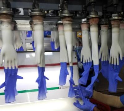 China Hotels Medical Nitrile Gloves Production Line for sale