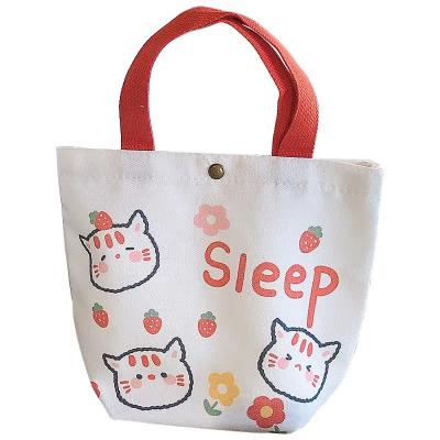 China Large Capacity Custom Logo Canvas Cute Foldable Travel Tablet Shopping School Storage Bags For MacBook for sale