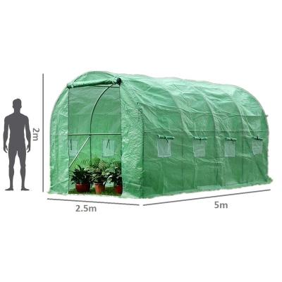 China Grow tent tunnel winter greenhouse 5x2.5x2m galvanized steel pipe structure for sale