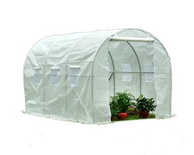 China Walk In Greenhouse 3x2m Polytunnel Green House Tunnel Greenhouse Lunghoh Metal for sale