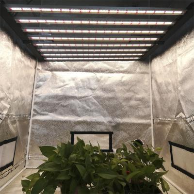 China Seed Starting Horticulture LM561c 3500K Led Strip Plants Plant Growth Light 600W 800w Led Grow Light for sale