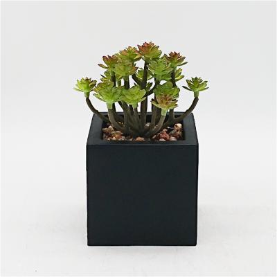 China Indor Cheap Decorative Artificial Succulent Bonsai Plant Home Decor Artificial Plants Wholesale Artificial Potted Plants In Cement Pot for sale