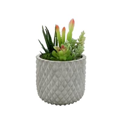 China Indor Cheap Decorative Plantas Artificial Bonsai Small , Artificial Potted Succulent Plants Artificial Bonsai In Cement Pot for sale