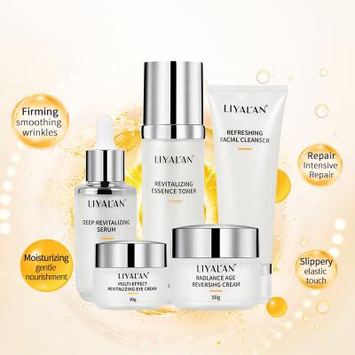 China Private Label Anti Aging Whitening Luxury Anti Aging Face Skin Care Set Skin Care New Facial Set) (Organic for sale