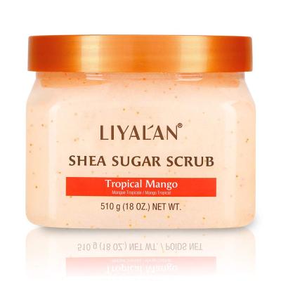 China Custom Wholesale Private Label Exfoliator Organic Vegan Exfoliating Shea Butter Sugar Body Bath Nourishing Scrub for sale