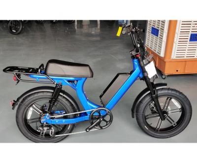 China Standard moped ebike for sale