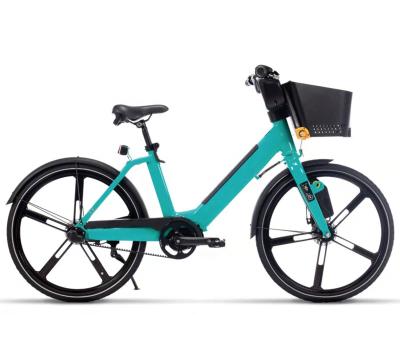 China Share standard of ebike for sale