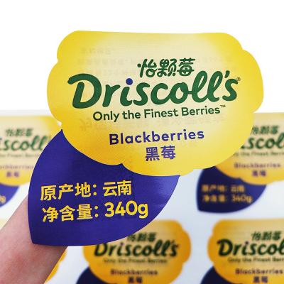 China Waterproof Waterproof Private Logo Printing Adhesive Stickers And Labels For Snacks for sale