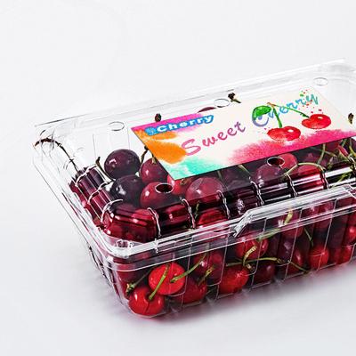 China Waterproof Top Selling Customizable Sticker And Labels For Fruit Label With Biodegradable Material for sale