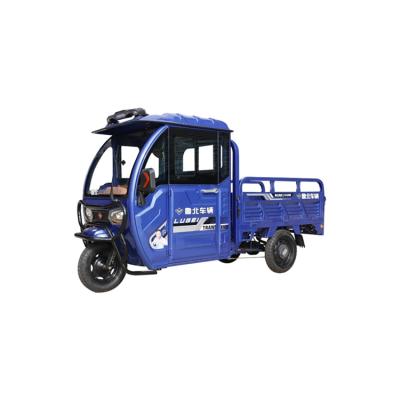 China Factory Sale Various Dity Adult Heavy Cargo Passenger Electric Tricycle 4 Wheel for sale