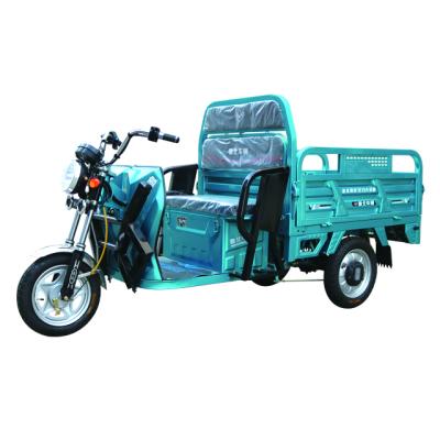 China China factory sale various passenger electric tricycle foldable adults for sale