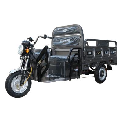 China China Delivery Latest Design 2 Seater Adult New Arrival Passenger Electric Tricycle for sale