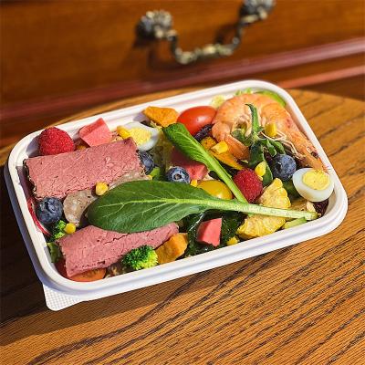 China Manufacturer Eco Friendly Disposable Food Storage Container Eco-Friendly Biodegradable Cornstarch Disposable Food Bowl With Lid for sale