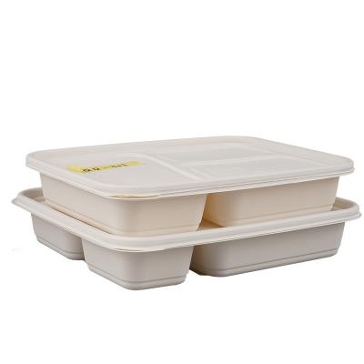 China Tarch Grains Pla Grains Cornstarch Food Container Eco-Friendly Compostable Biodegradable Container Disposable Clamshell Bento Lunch Box for sale