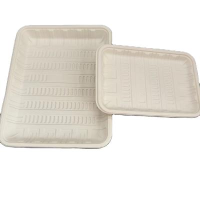 China Rectangular Biodegradable Cornstarch Tray For Food Fruit Eco-friendly Disposable Cornstarch Disposable Tableware for sale