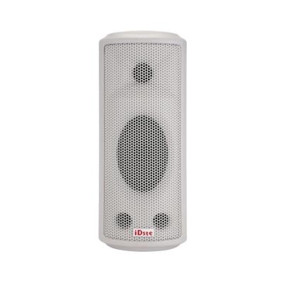 China PA System iDste 60W School Classroom Conference Speaker Indoor HiFi Premium Sound Triple Amplifier Wall Mounted Speaker For Home Theater for sale