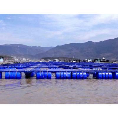 China Sea and lake pontoon fish cage for fish farming fishing net for sale