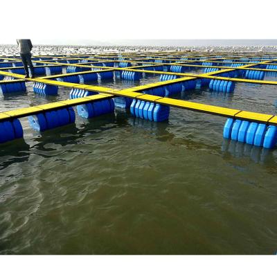 China High Quality Sea And Lake HDPE Fish Cage With Floating Dock for sale