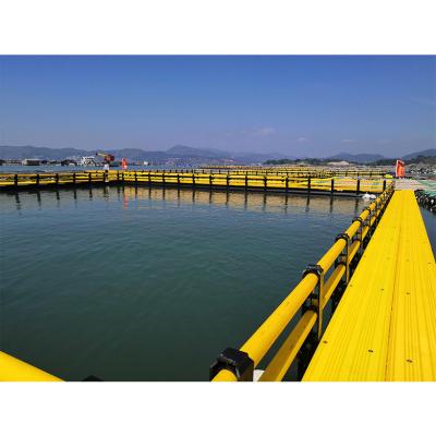 China Sea and Lake Aquaculture Abalone Recreational Fish Farming Net Cage for sale