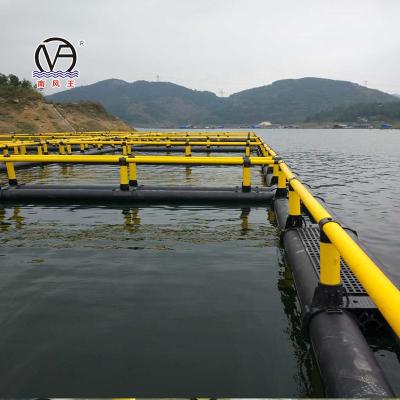 China Circular Square Sea and Lake HDPE Aquaculture Cage for Fish Farming for sale