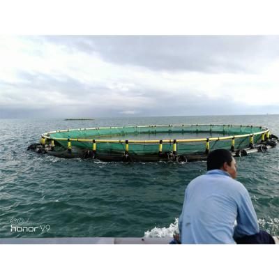 China High Quality Floating Sea And Lake HDPE Culture Grow Fish Harvest Commercia for sale