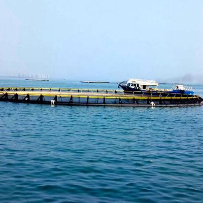 China Sea and Lake Anti-wave Aquaculture Deep Sea Fishing Net Opening Cage for sale