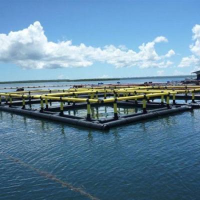 China Sea and Lake Commercial HDPE Square Fish Juvenile Fish Culture Floating Cage for sale