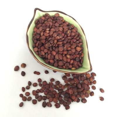 China Tea Suan zao 2032 ren direct selling supplier hand selected wild jujube seed for food for sale