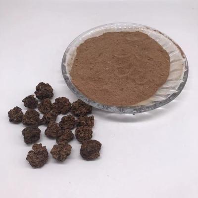 China Viable Wholesale YHC09P Matatabl Actinidia Polygama Fruit Powder Silvervine Gall Fruit Powder For Cat for sale