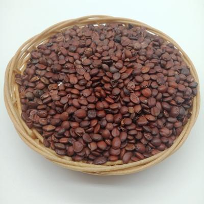 China Loose tea Suan 2032 zao ren factory supply bulk price sour date seed for tea for sale