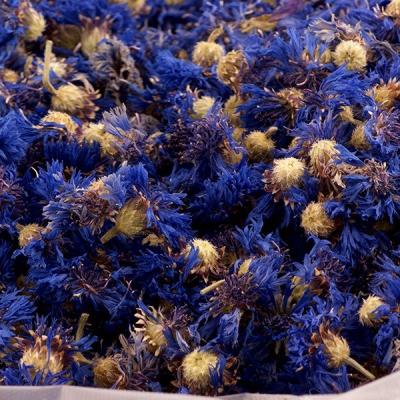 China 4027 Flowers Shi che dry ju dried flower blue cornflower natural dry tea for sale