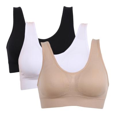 China 3PCS/lot seamless pump bra with pads plus size bras for women wireless active bra push up big size vest for sale