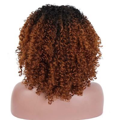 China Customization Body Wave Factory Europe and America Color Women Natural Curly Hair Wig For African for sale