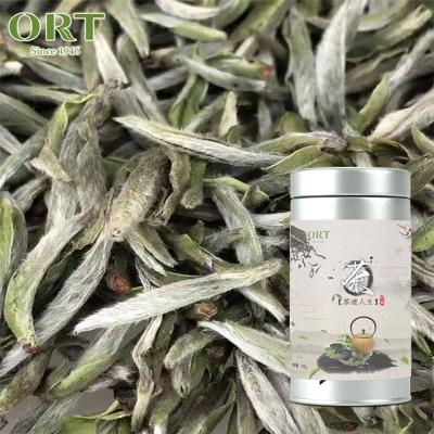 China Bai Hao Yin Zhen Loose Leaf White Needle Fuding Organic Compressed Tea Spring Silver Tea for sale