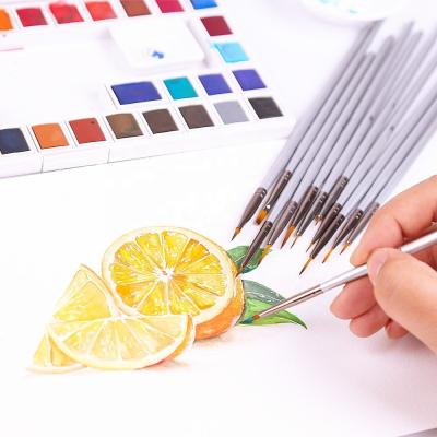 China Oil/Acrylic Artist Paint Watercolor Paint/Acrylic Paint Professional Natural Nylon Hair And Brushes Kids Toys for sale