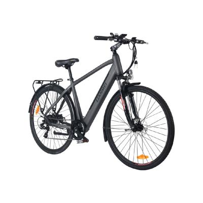 China PAS& Cheap 36v electric bike or professional electric bicycle ebike TAG 250W factory sale for sale