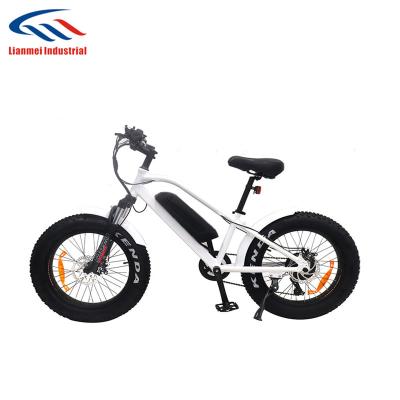 China Cheap Mountain E Bike Electric Bike Men Rear Ebike for sale