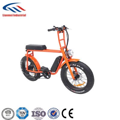 China Standard Fashion E-Bike 350w Electric Bicycle With 20*4.0 Inch Fat Tire for sale