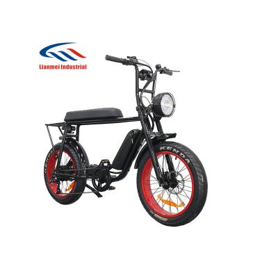 China Aluminum alloy mountain e-bike 20