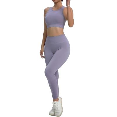 China Breathable Stylish Yoga Suit Shorts Two Piece Set For Fitness Running Quick Dry Exercise Yoga Set For Women Customization Bras And Pants for sale