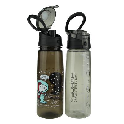 China 2022 New BPA Filter 26oz/700ml Viable Hydrogen Free Portable Sports Alkaline Water Bottle With Handle for sale