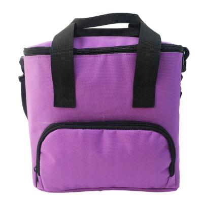 China 8L Insulated Thicken Waterproof Lunch Bag Fresh Storage Cooler Bag For Steak Insulation Bag Thermal Insulation Ice Pack for sale