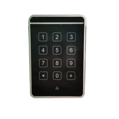 China High Quality ABS Metal and Metal and ABS RFID Touch Keypad Door Scan Smart NFC IC Card Reader for sale