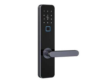 China Smart Door Lock Buy TTLOCK APP Online Auto Smart Fingerprint Sliding Door Lock PRND-X2 Luxury Auto for sale