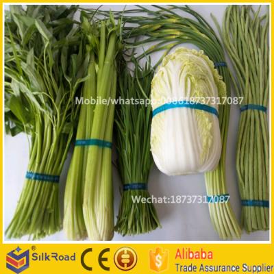 China CLOTHING automatic vegetable binding machine for spinach, leek, asparagus for sale