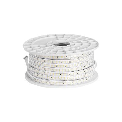 中国 220v LANDSCAPE AC LED Strip Light 販売のため